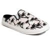 White/Black Palm Tree